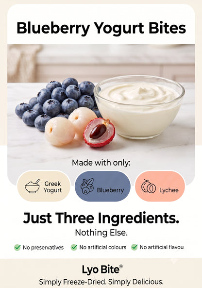 Blueberry Yogurt Bites